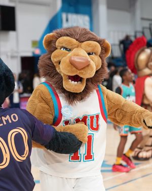 Image post by @lmulions on Instagram