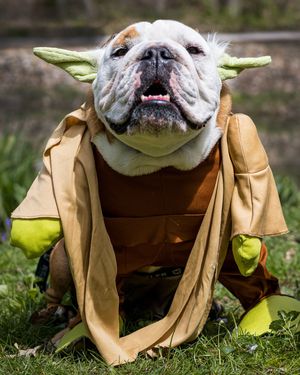 Image post by @thebutlerblue on Instagram