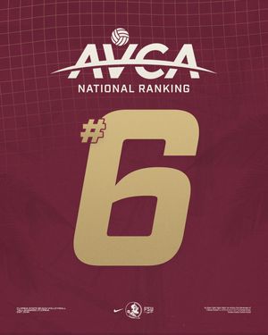 Image post by @fsubeachvolleyball on Instagram