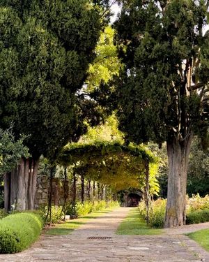 Image post by @belmond on Instagram