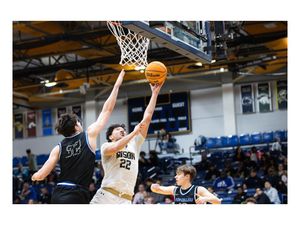 Image post by @sabinashyshphoto on Instagram