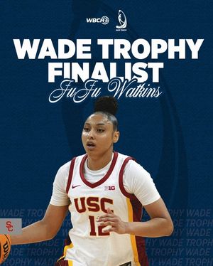 Image post by @WBCA1981 on Facebook