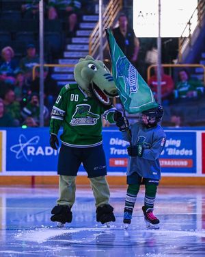 Image post by @fl_everblades on Instagram