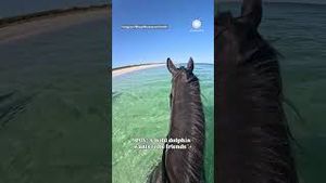 Video post by @accuweather on YouTube