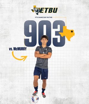 Image post by @goetbutigers on Instagram