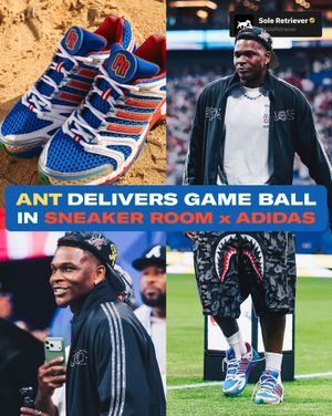 Image post by @soleretriever on Instagram