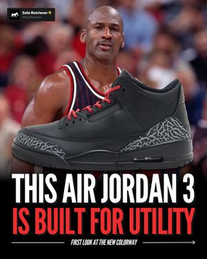 Image post by @soleretriever on Instagram