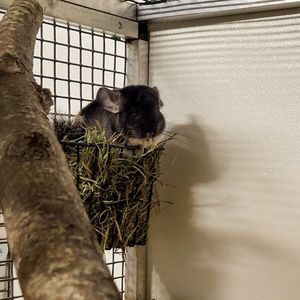 Image post by @tulsazoo on Instagram