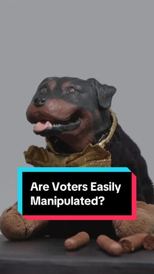 Video post by @thedailyshow on TikTok