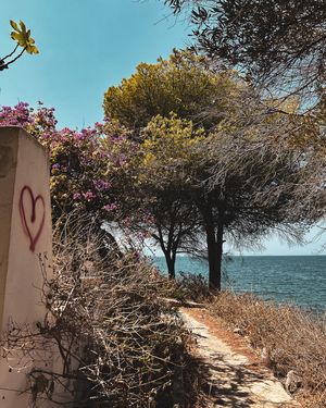 Image post by @iammutluyigit on Instagram