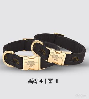 Image post by @SouthernMissSB on Twitter