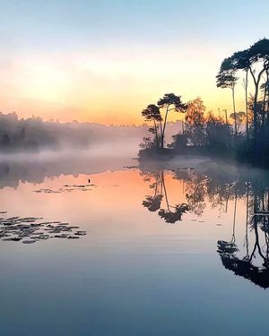 Image post by @fubiz on Instagram