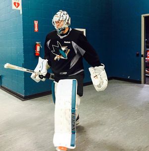 Image post by @sanjosesharks on Instagram
