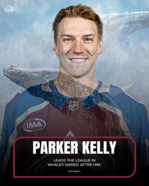 Image post by @coloradoavalanche on Instagram
