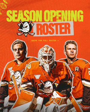 Image post by @anaheimducks on Instagram