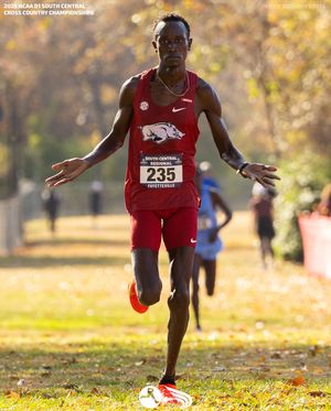 Image post by @dyestat on Instagram