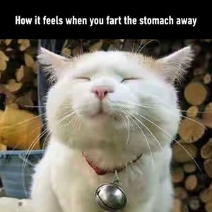 Image post by @9gag on Instagram