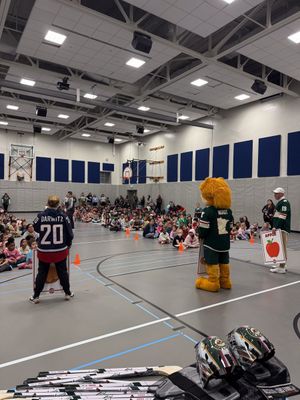 Image post by @WildGivesBack on Twitter/X