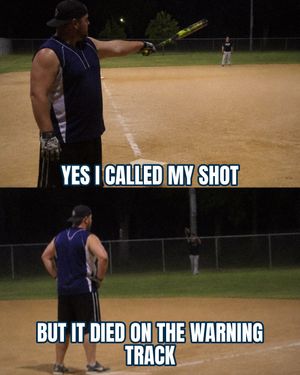 Image post by @usssaslowpitch on Instagram