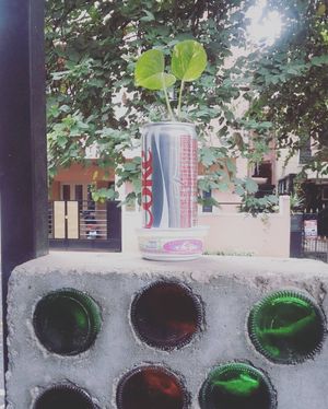 Image post by @kanchan_balani on Instagram