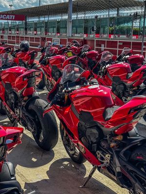 Image post by @panigalers on Instagram