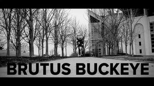 Video post by @dive13 on Instagram