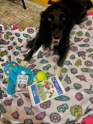 Video post by @livelikeroofoundation on TikTok