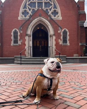 Image post by @georgetownuniversity on Instagram