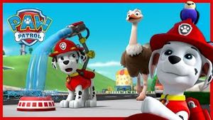Video post by @pawpatrolofficial on YouTube