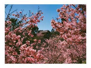 Image post by @benworldly on Instagram