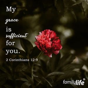 Image post by @familylifenypa on Instagram