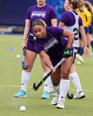 Image post by @nufhcats on Instagram