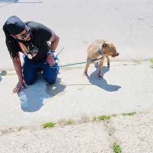 Image post by @DetroitGSD on Facebook