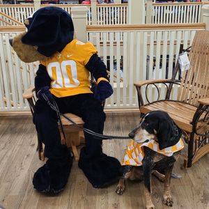 Image post by @utsmokey_00 on Instagram