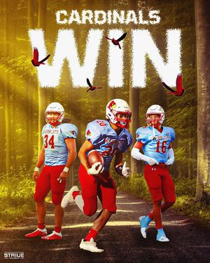 Image post by @strivesportsproductions on Instagram