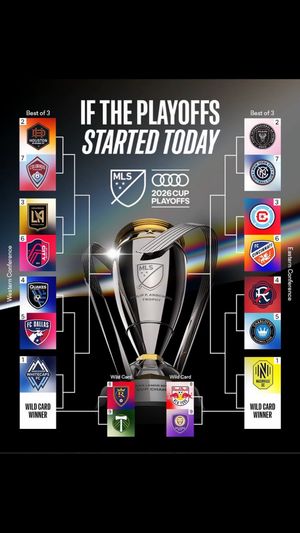 Video post by @mls on TikTok