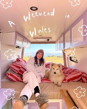 Image post by @simone_stewart on Instagram