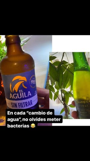 Video post by @aqualupi on Instagram