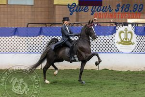 Image post by @UphaAmericanRoyalNationalChampionshipHorseShow on Facebook