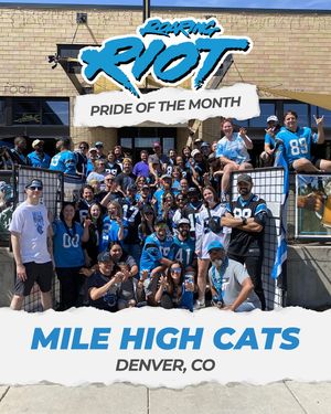 Image post by @roaringriot on Instagram