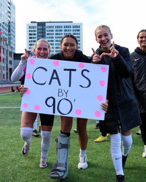 Image post by @gobearcatswsoc on Instagram