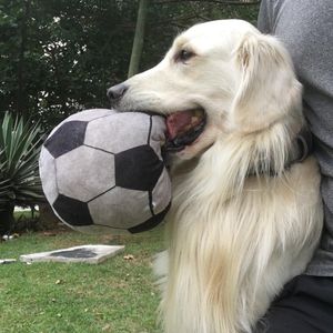 Image post by @mikethewhitegolden on Instagram