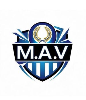 Image post by @mav_sports on Instagram