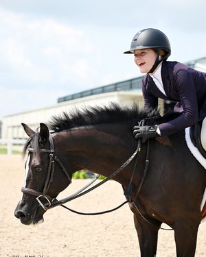 Image post by @kyhorseshows on Instagram