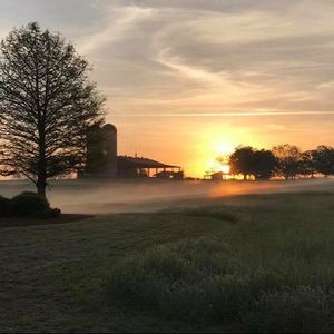 Image post by @southernbellefarm on Instagram