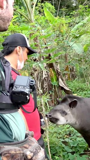 Video post by @bbcearth on Instagram