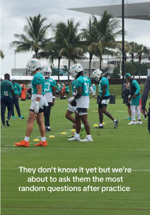 Video post by @miamidolphins on TikTok