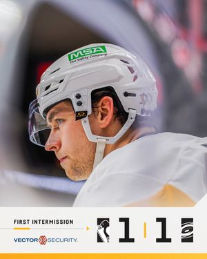 Image post by @penguins on Twitter