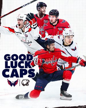 Image post by @TheHersheyBears on Twitter