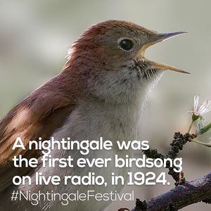 Image post by @rspb on Instagram